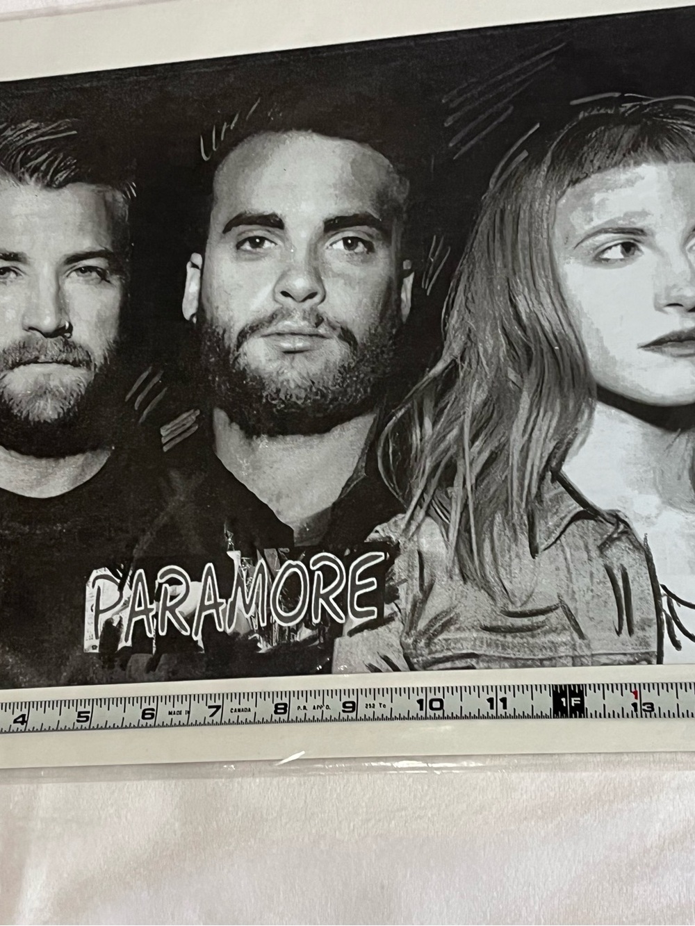 Paramore Portrait Drawing - Picture 2 of 8
